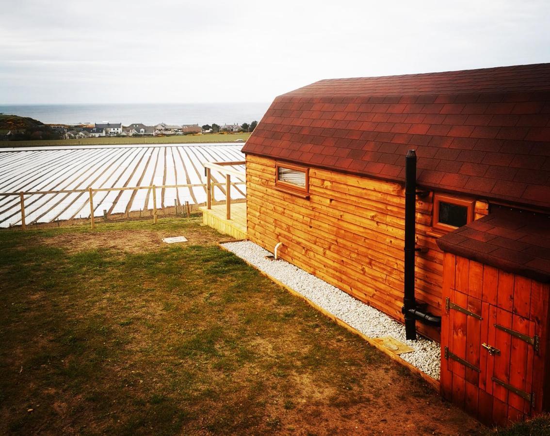 فندق بانففي  Gowanview Glamping المظهر الخارجي الصورة