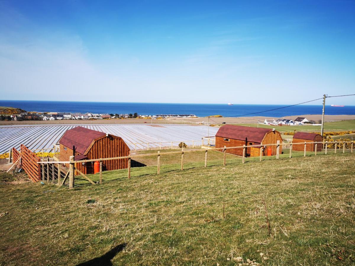 فندق بانففي  Gowanview Glamping المظهر الخارجي الصورة